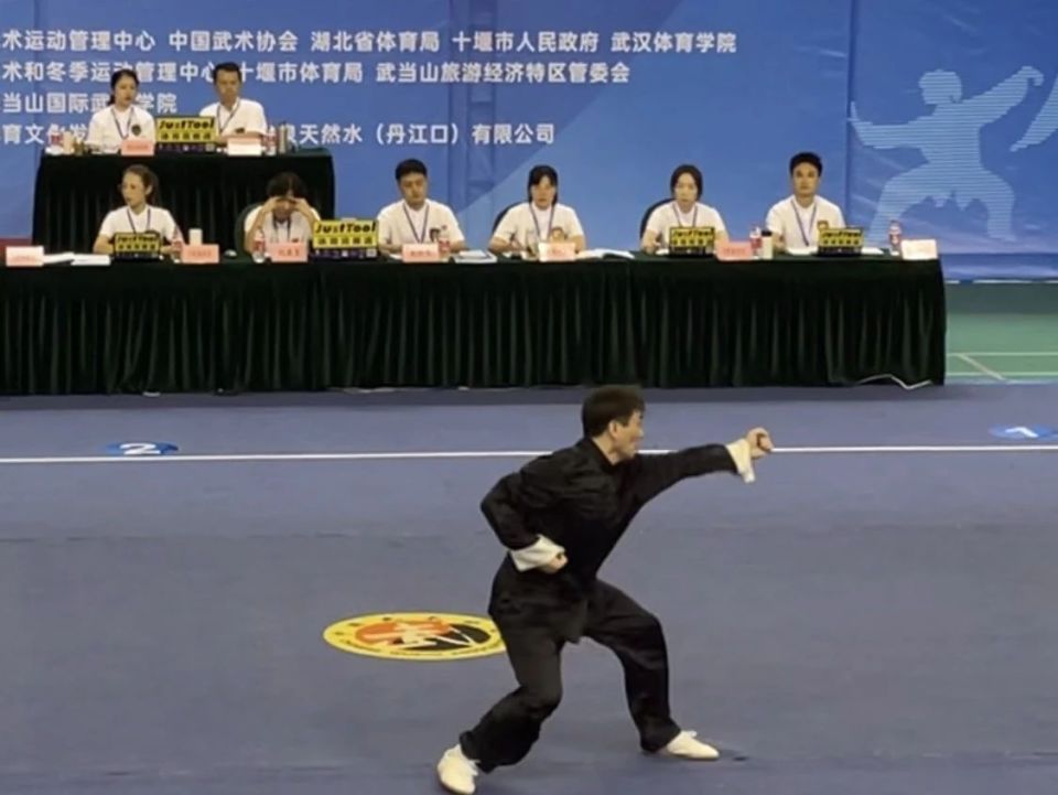 多个类别的, 其它传统器
